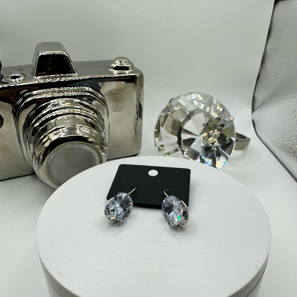 Stainless Steel and Crystal Earrings NEW